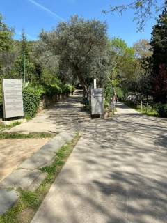 Evrensel Kolej